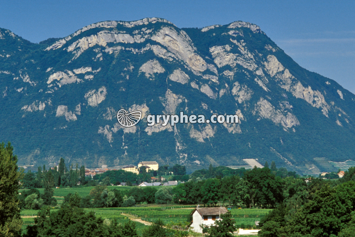 Plis de la Savoyarde - gryphea.com